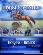 www.horsesandponies.us Matching Happy Homes Since 1994.